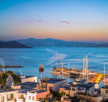 mf photography collection photo-30