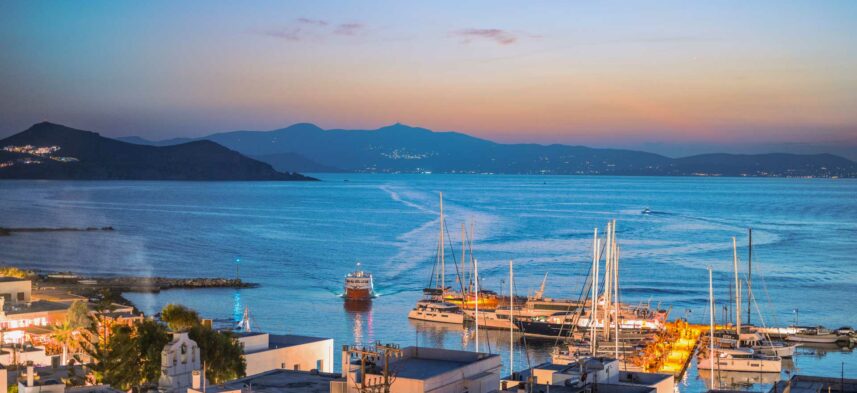 mf photography collection photo-30